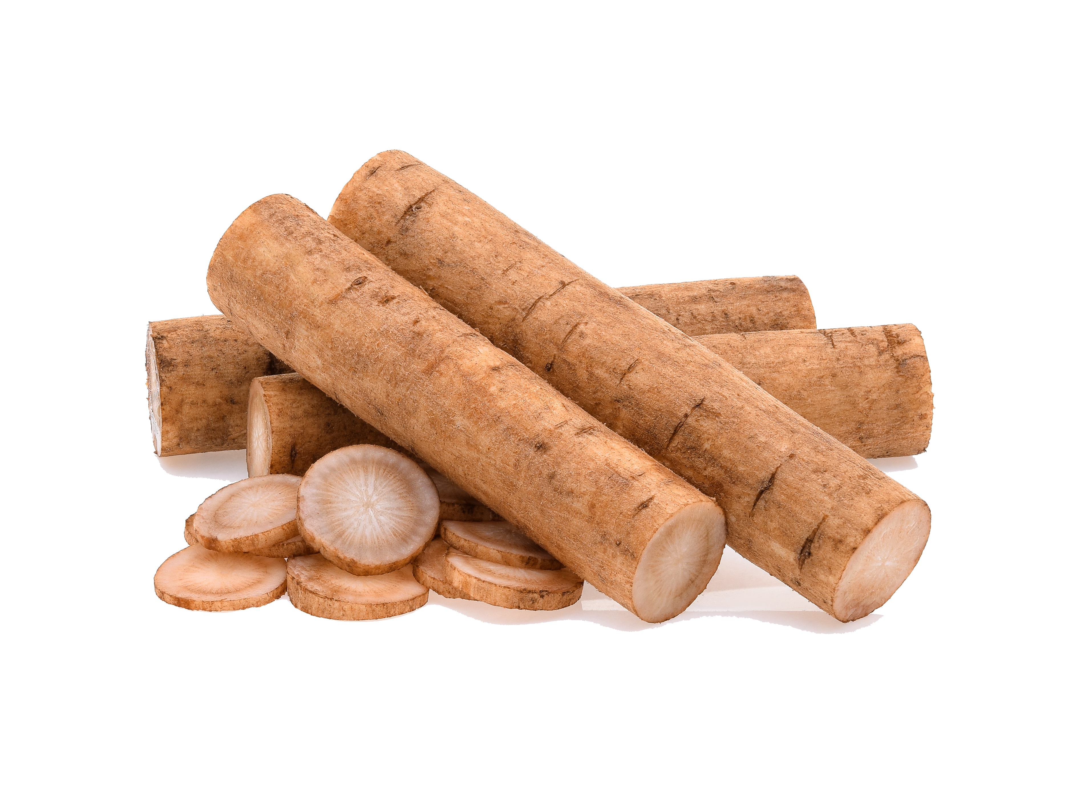 burdock root